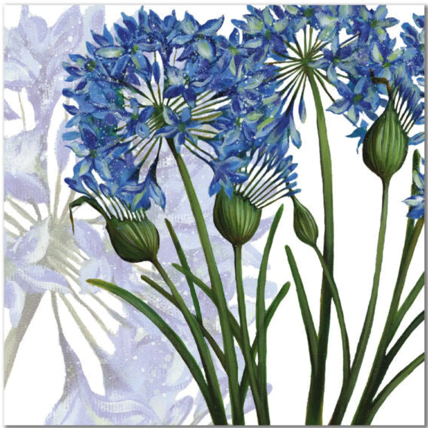 Emma Ball Agapanthus Greetings Card