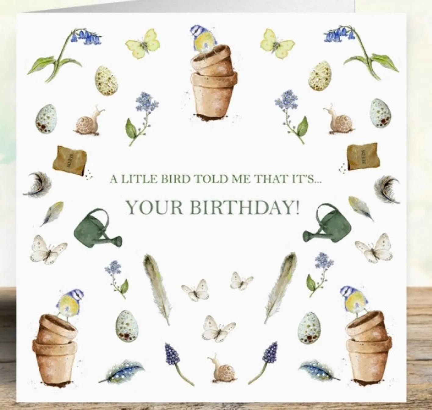 West Country Designs 'A Little Bird Told Me' Birthday Card