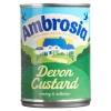 Tea & Biscuits Ambrosia Devon Custard