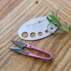 Burgon & Ball Asteraceae Herb Set