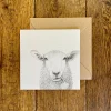 Katherine Sheard Designs Baaley Greetings Card
