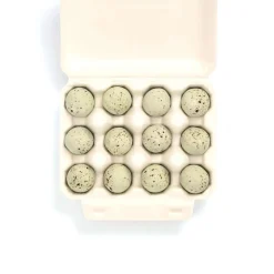 The Chocolate Detective 12 Barn Owl Eggs by