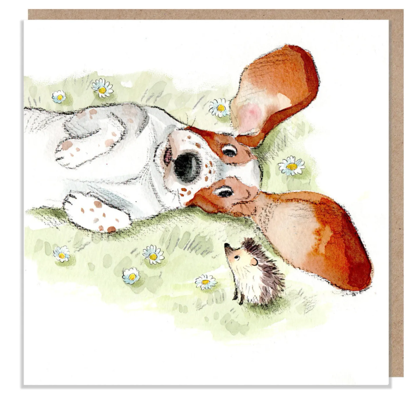 Paper Shed Design Basset Hound and Hedgehog Greetings Card