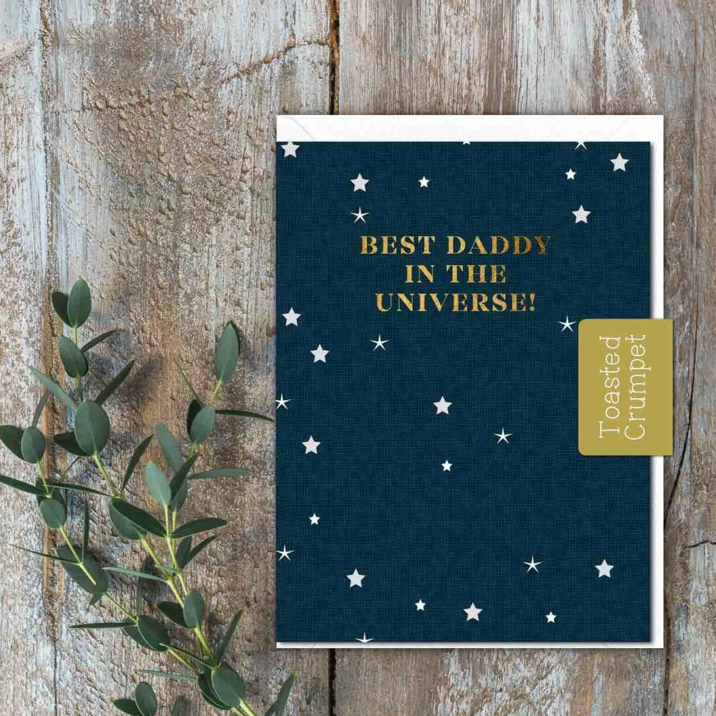 Toasted Crumpet Best Daddy in the Universe Greetings Card