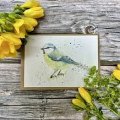Jen Winnett Betty the Bluetit Blank Eco-Card