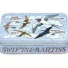 Emma Bridgewater Bird Families Small Rectangular Tin