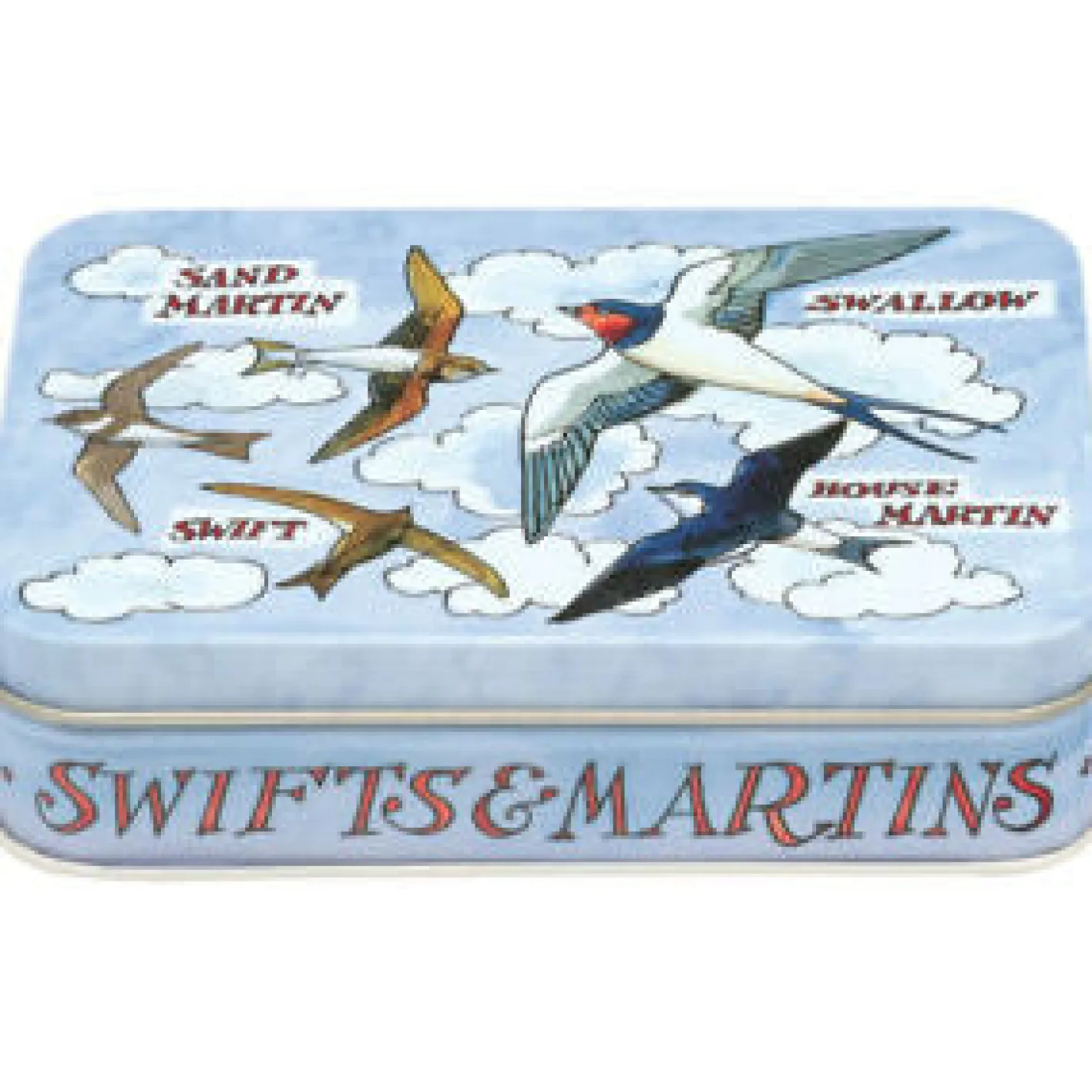 Emma Bridgewater Bird Families Small Rectangular Tin