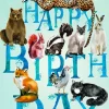 Madame Treacle Birthday Animals Greetings Card