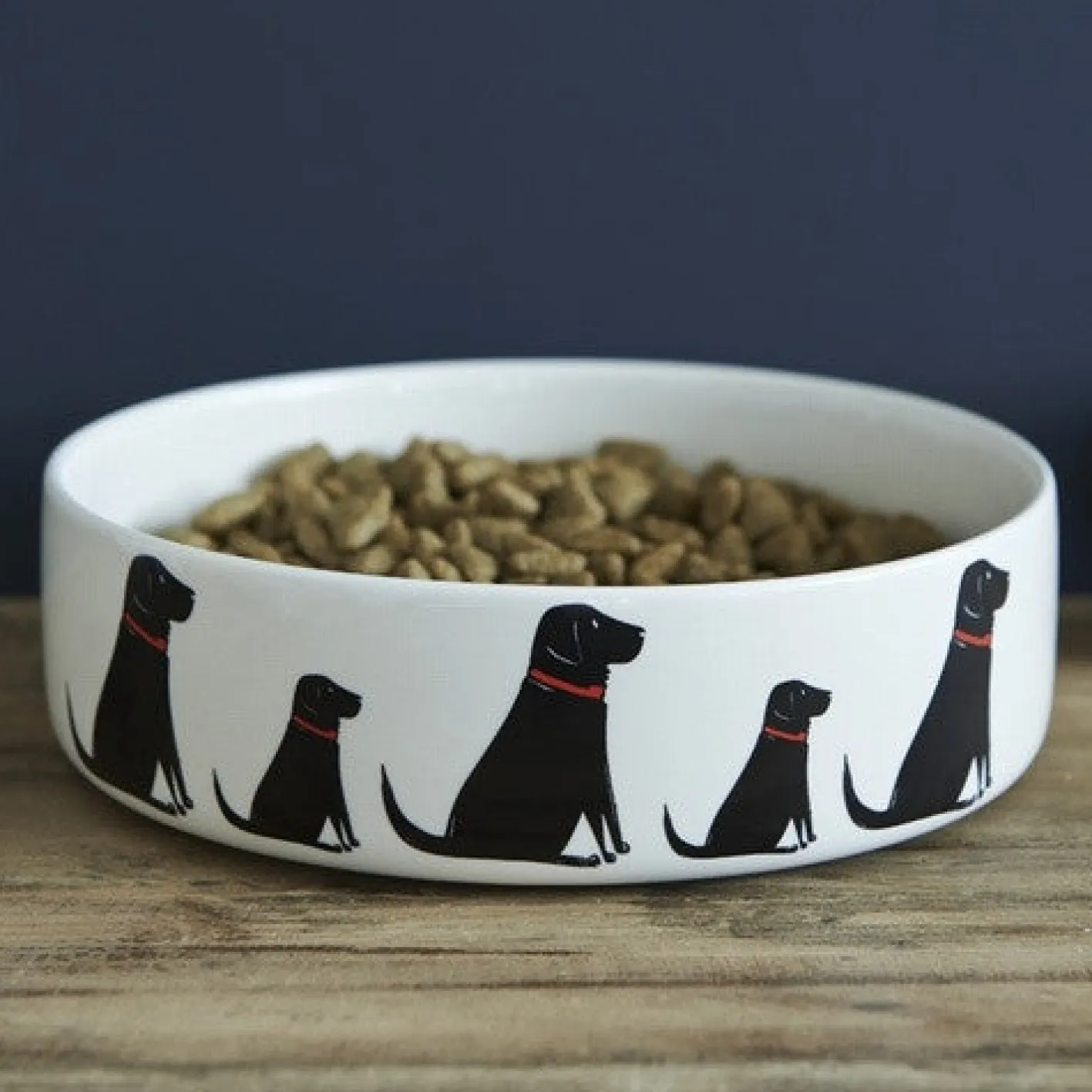 Sweet William Black Labrador Dog Bowl Boxed