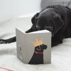 Sweet William Black Labrador Notebook
