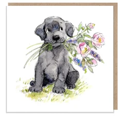 Paper Shed Design Black Labrador with Flowers Greetings Card