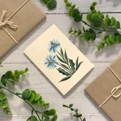 Becky Amelia Blue Daisies Greetings Card