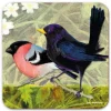 Emma Ball British Birds 3  Coaster