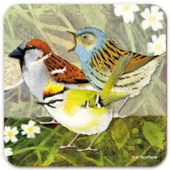 Emma Ball British Birds 4  Coaster