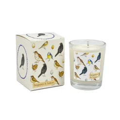 Heaven Scent British Birds Votive Candle - Bergamot & Lemon