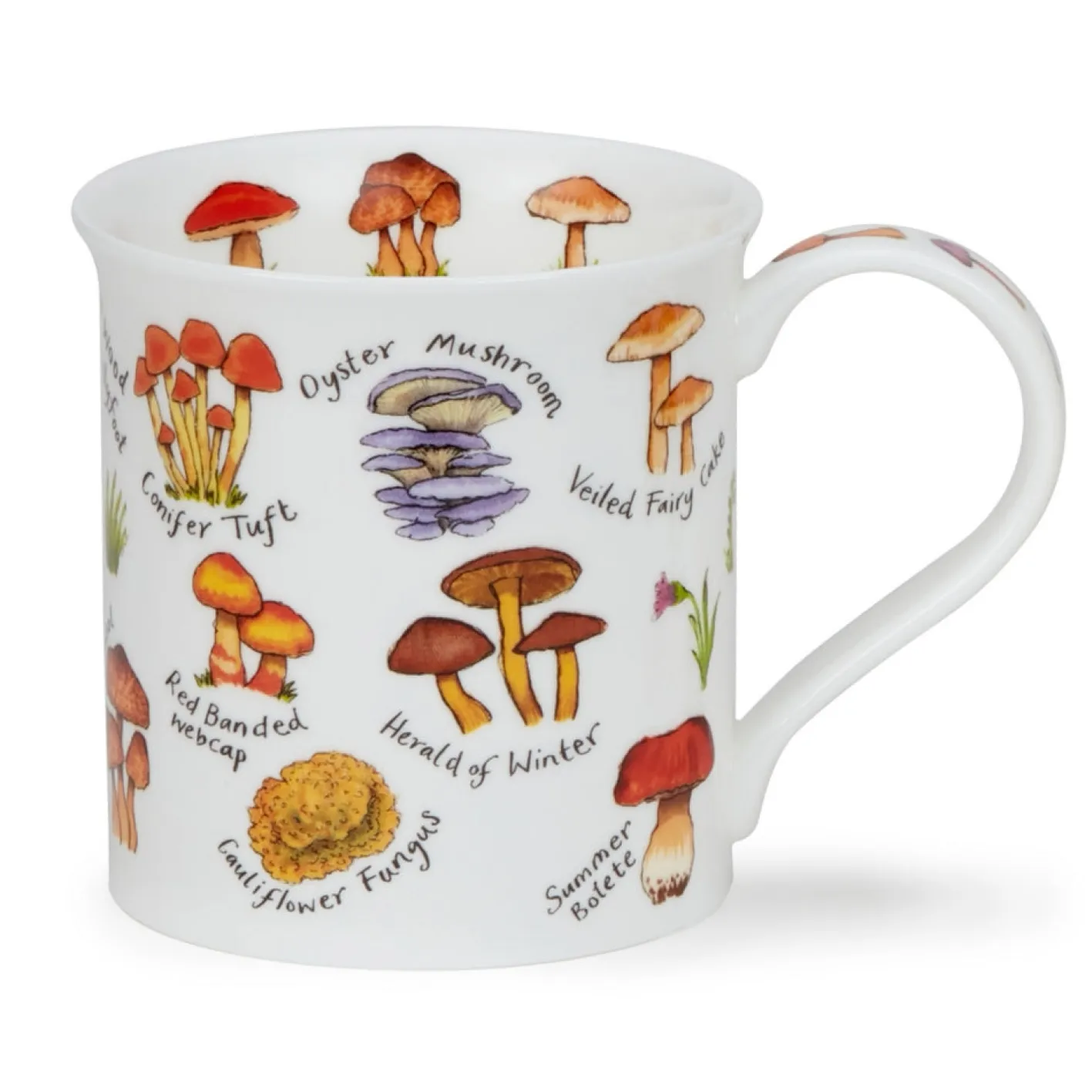 Dunoon Bute Mushrooms & Toadstools Mug