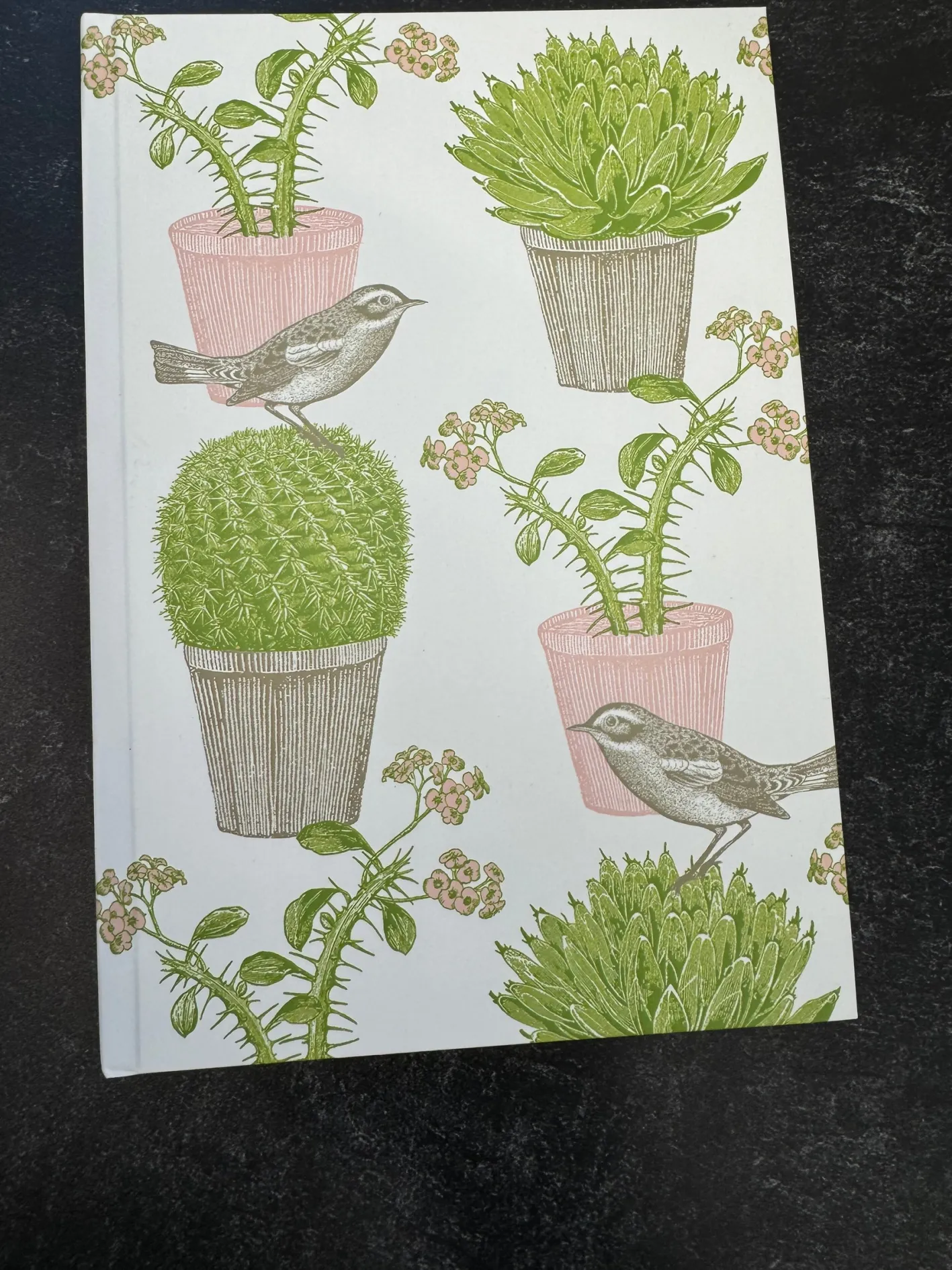 Thornback & Peel Cactus & Bird A5 Hardback Notebook