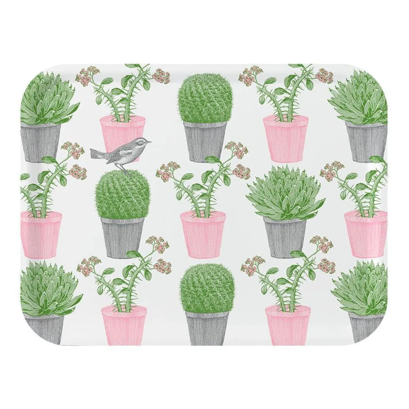 Thornback & Peel Cactus & Bird Large Tray