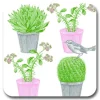 Thornback & Peel Cactus and Bird Pot Stand