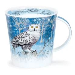 Dunoon Cairngorm Moonlight Owl Mug