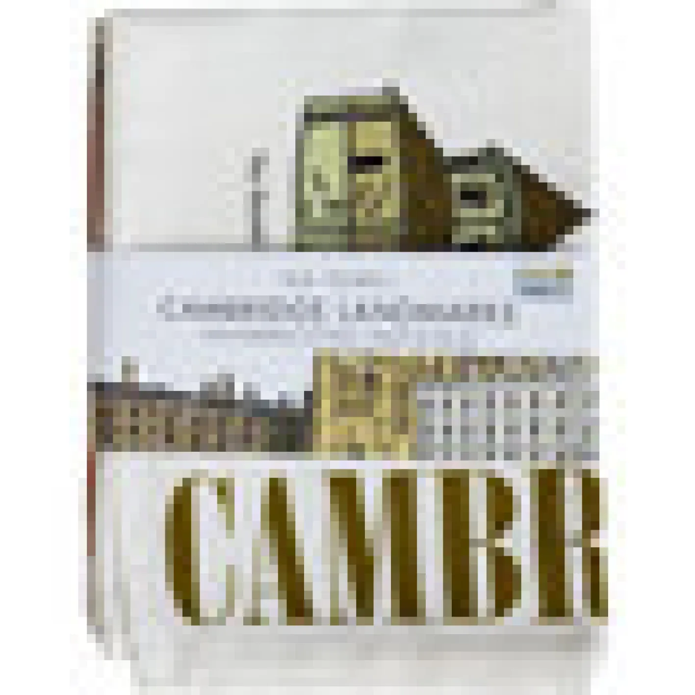 Town Towels Cambridge Landmarks Tea Towel
