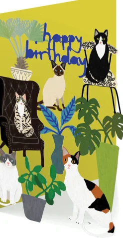 Roger La Borde Cat Palais, Birthday Laser Greeting Card