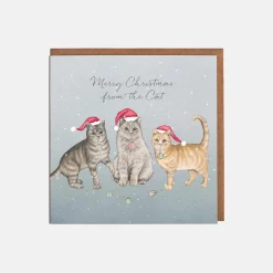 Lottie Murphy Cats in Hats Christmas Card