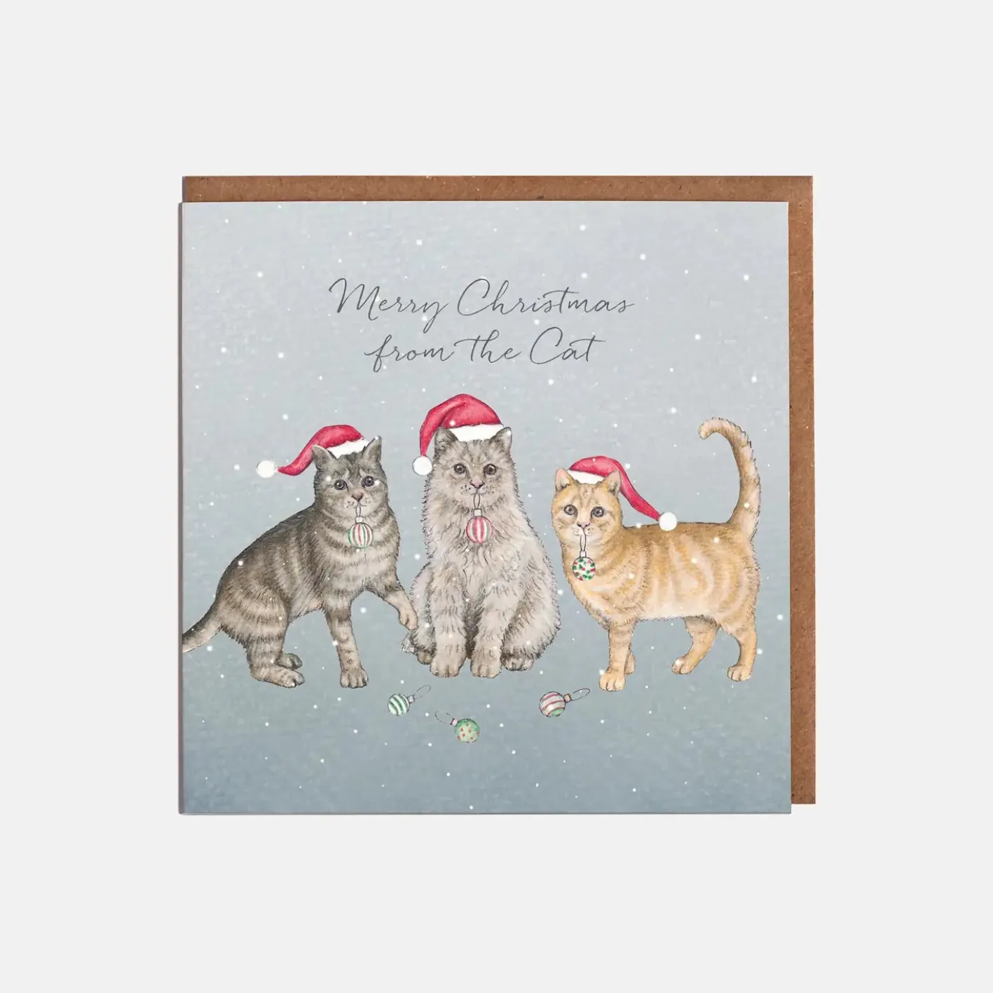 Lottie Murphy Cats in Hats Christmas Card