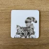 Katherine Sheard Designs Chester Cat Coaster