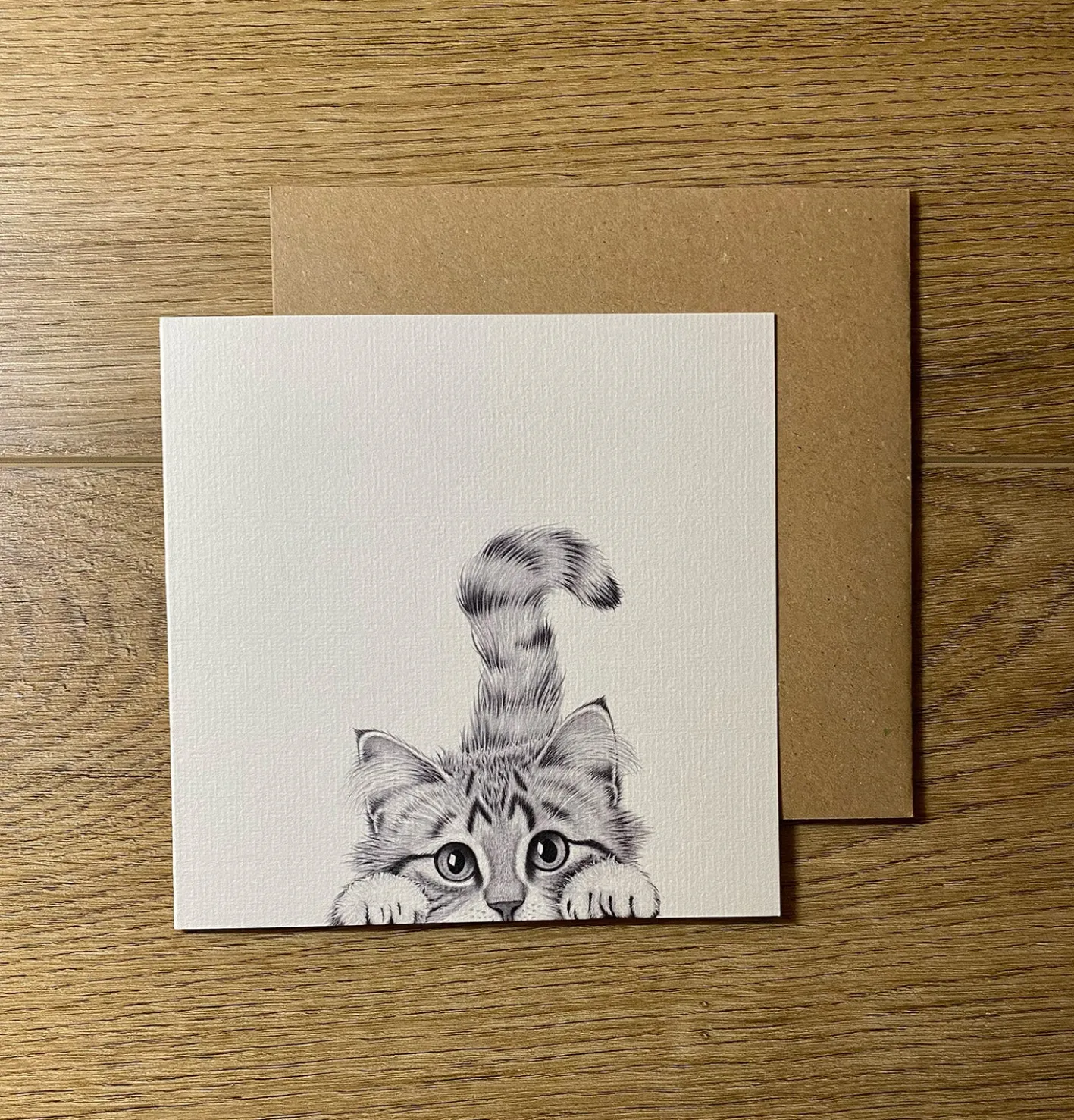 Katherine Sheard Designs Chester Cat Greetings Card