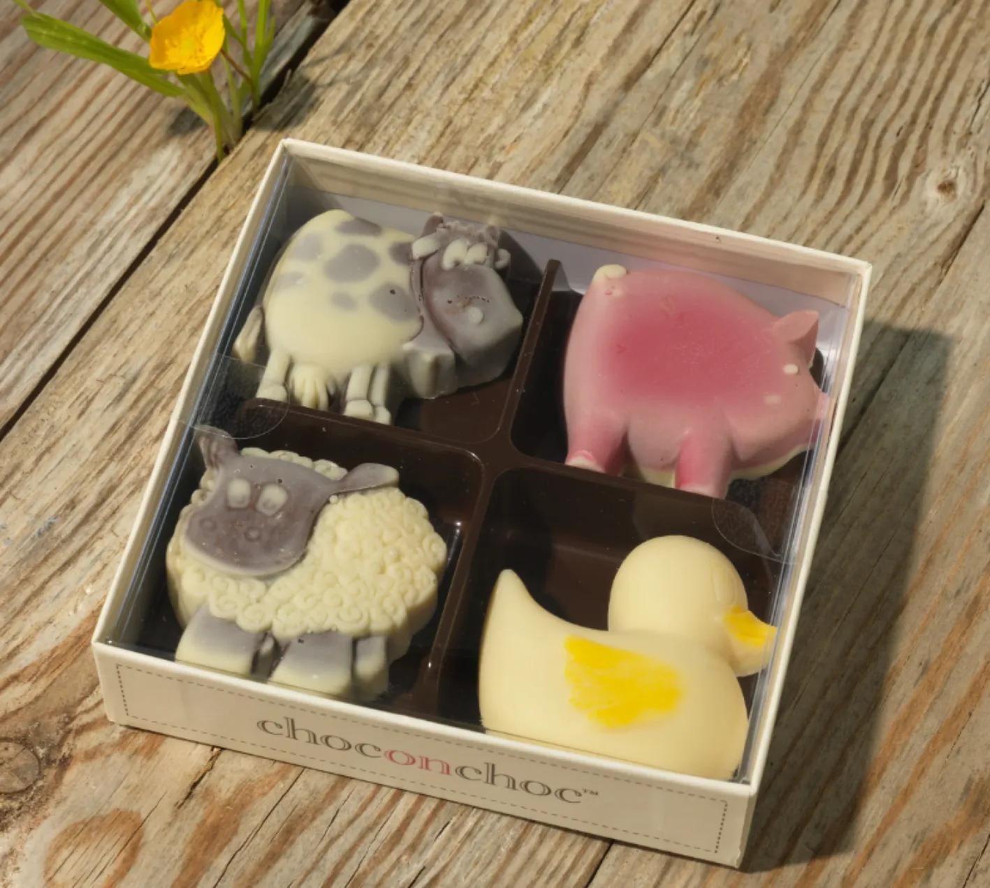 Choc on Choc Chocolate Animals Farmyard Selection Four Box