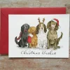 Ellie Hooi Illustration Christmas Spaniels Christmas Card