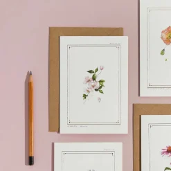 Catherine Lewis Clematis - 'Botanical Archive: Everyday Edition' - card