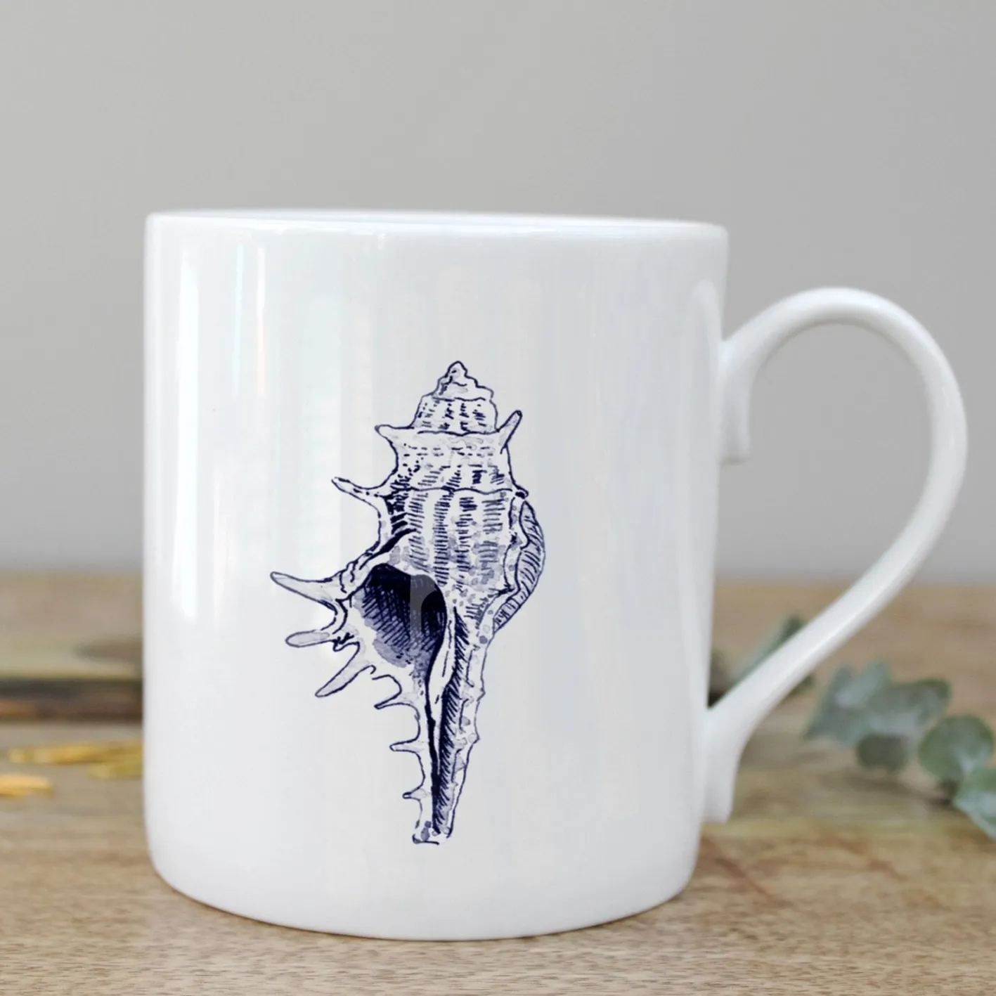 Toasted Crumpet Conch Bone China Mug Boxed