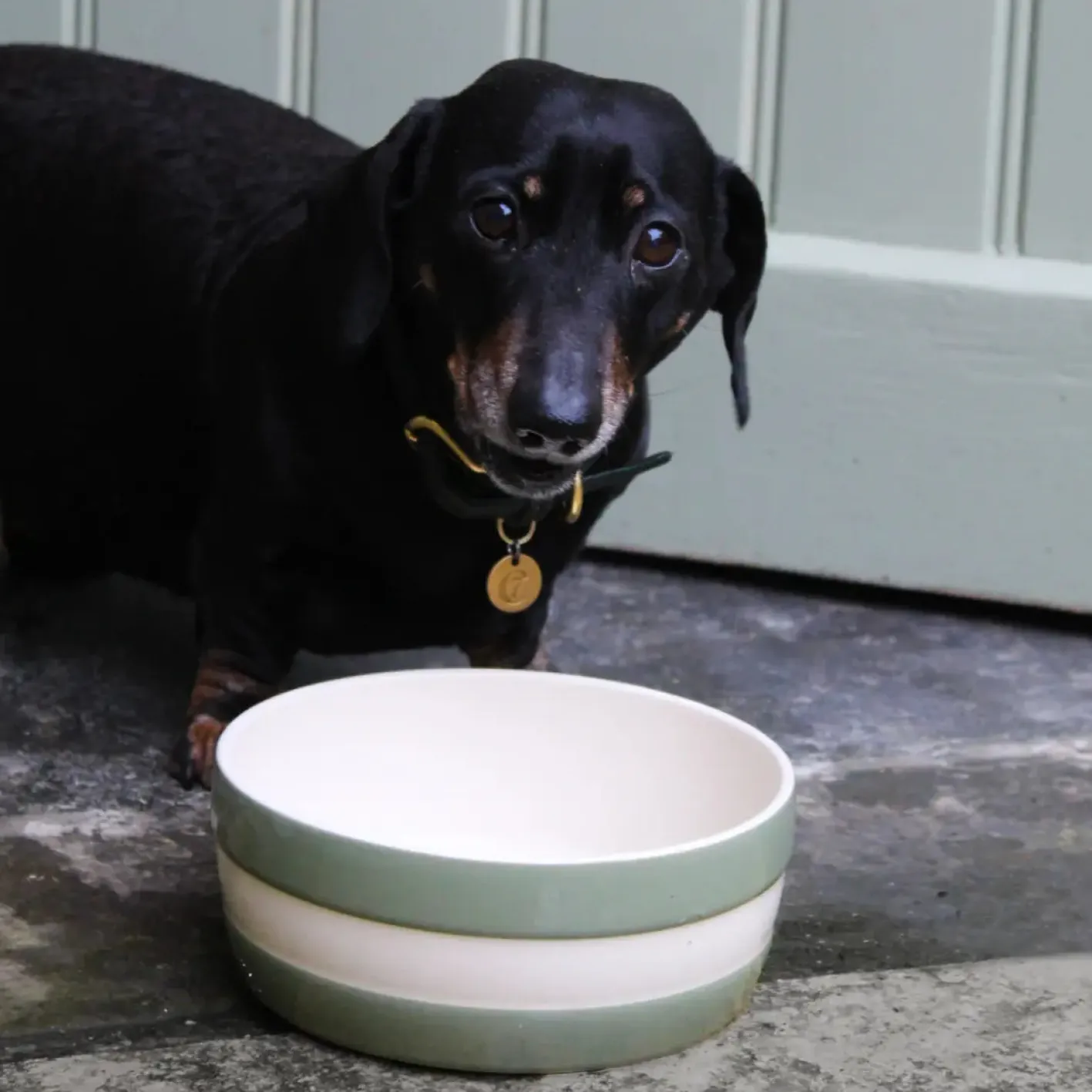Cornishware Dog Bowl