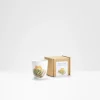 Helen Beard Courgette Box Egg Cup