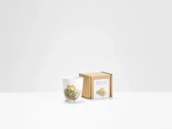 Helen Beard Courgette Box Egg Cup