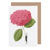 Laura Stoddart Dark Pink Hydrangea Blank Greetings Card