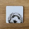 Katherine Sheard Designs Dino Dog Coaster