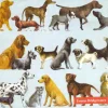 Emma Bridgewater DOGS Paper Napkins