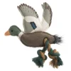 Sophie Allport Duck Dog Toy