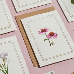 Catherine Lewis Echinacea - 'Botanical Archive: Everyday Edition' - card