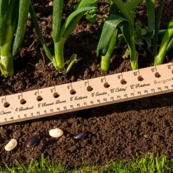 Burgon & Ball Essential Tools Plant Rule