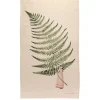 Laura Stoddart Fabulous Ferns Tea Towel
