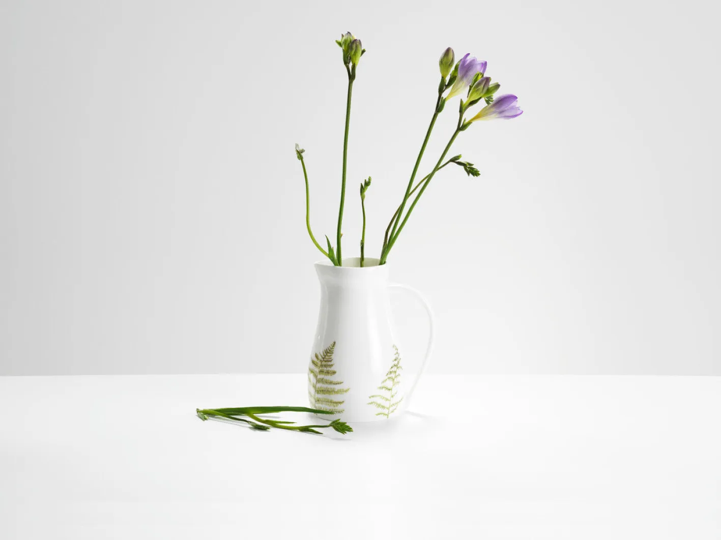 Helen Beard Ferns Jug