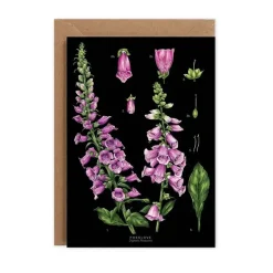 Catherine Lewis Foxglove - Black - card