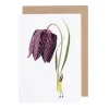 Laura Stoddart Fritillary Blank Greetings Card