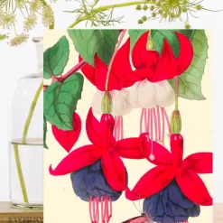 Madame Treacle Fuchsia and Butterfly Card