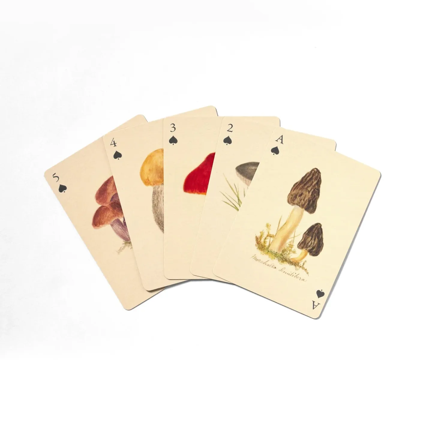 Roomytown Fungi Playing Cards - Set of 2 Decks