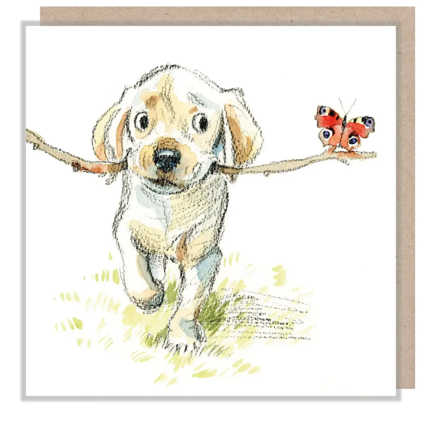 Paper Shed Design Golden Lab with Stick & Butterfly Greetings Card